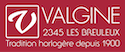 logo valgine